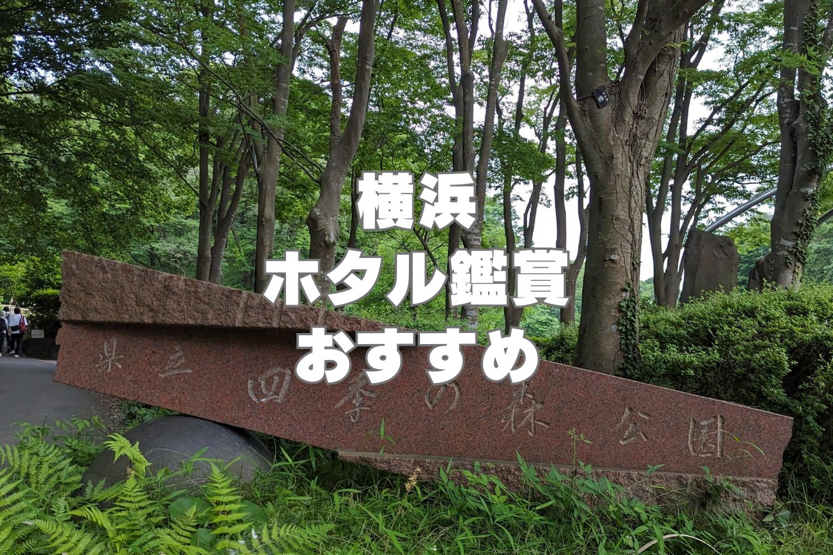 横浜ホタル鑑賞なら四季の森公園