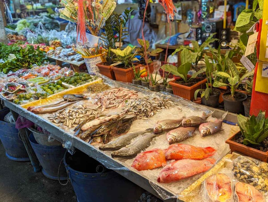 赤身魚
